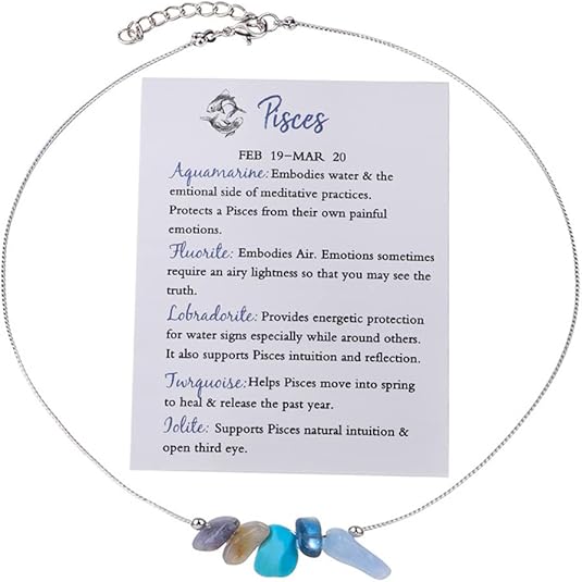 12 Constellation Zodiac Sign Choker Necklace Raw Crystal Natural Stone Healing Chakra Gemstone Horoscope Astrology Jewelry for Women Birthday Gift - Pisces for men