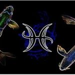 Pisces License Plate Sign 6" X 12" Zodiac Sign Fish Version - Pisces Canvas for men