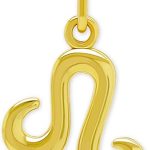 Charm America - Leo Necklace for men