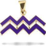 Claddagh Gold - Aquarius Necklace for men