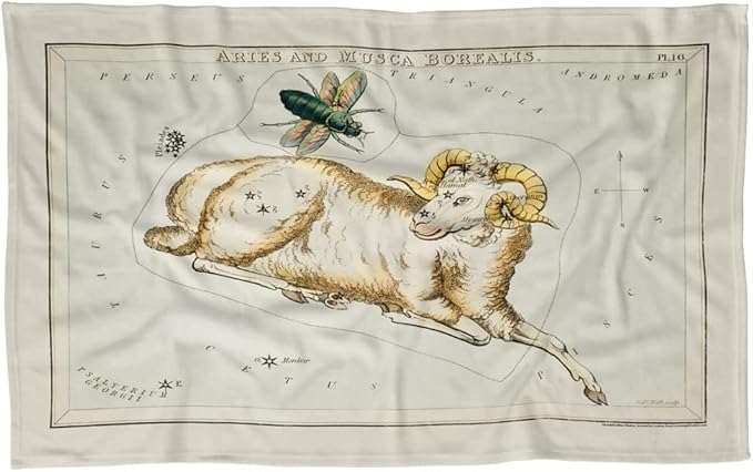 LOGOVISION bCreative - Graffitee Studios - S Hall Blanket, 36"x58" Vintage Aries Zodiac Fleece Blanket - Aries Blanket for men
