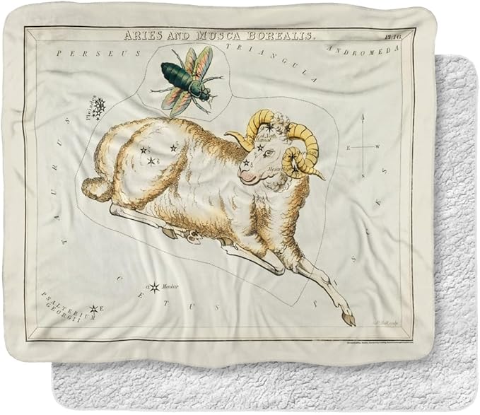 bCreative - Graffitee Studios - S Hall Blanket, 50"x60" Vintage Aries Zodiac Silky Touch Sherpa Back Super Soft Throw Blanket - Aries Blanket for men