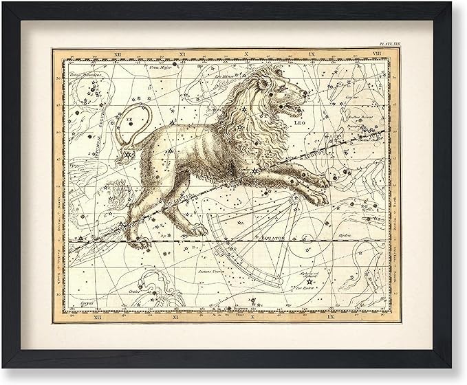 Poster Master Leo the Lion Zodiac Sign Poster, Great Vintage Zodiac Poster, 8x10 Unframed Art Print, Astrology and Aptitude Vintage Home Wall Decor for Astrology Enthusiasts - Leo Canvas for men