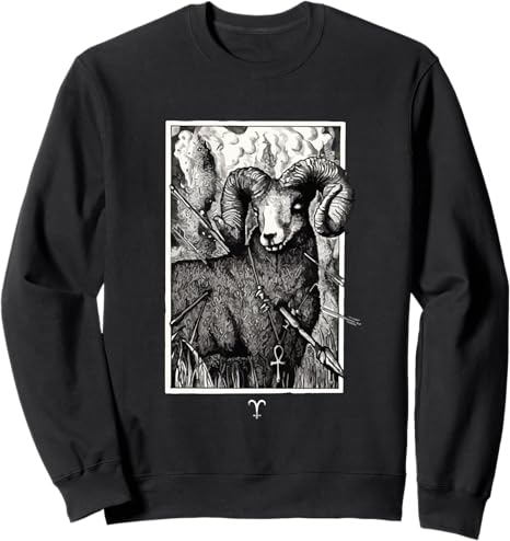 Sweatshirt - Aries Sweatshirt for men