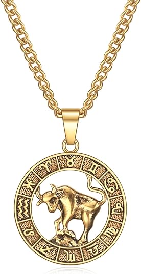 Rnivida Zodiac Sign Necklaces Constellation Pendant Necklace for Women and Men Personalized Astrology Jewelry - Taurus Products for men