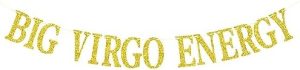 Big Virgo Energy Banner, Virgo Birthday Decor, 12 Zodiac Constellations Birthday Themed Party Decorations (Gold Glitter) - Virgo Poster for men
