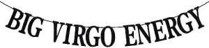 Big Virgo Energy Banner, Virgo Birthday Decor, 12 Zodiac Constellations Birthday Themed Party Decorations (Black Glitter) - Virgo Poster for men