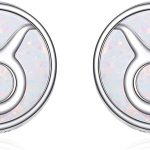 KQF - Taurus Earrings for men
