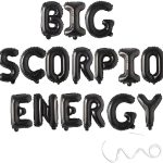 Big Scorpio Energy Zodiac Birthday Banner,October November Birthday Banner,Black - Scorpio Products for men