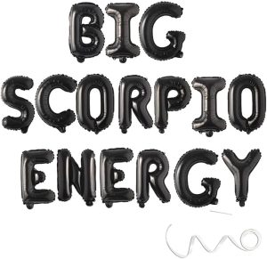 Big Scorpio Energy Zodiac Birthday Banner,October November Birthday Banner,Black - Scorpio Products for men