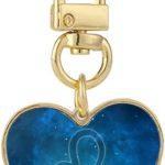 DIYthinker - Leo Keychain for men