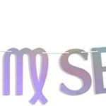 Virgo Season Banner, Virgo Birthday Banner, Virgo SZN, Zodiac Birthday Party Decorations- Astrology Bday Sign - Virgo Poster for men