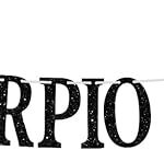 Big Scorpio Energy Banner, Scorpio Season Oct/Nov. Birthday Cake Decor - 12 Constellation Theme Birthday Party Decorations Supplies, Black Glitter - Scorpio Products for men