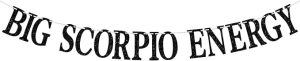 Big Scorpio Energy Banner, Scorpio Season Oct/Nov. Birthday Cake Decor - 12 Constellation Theme Birthday Party Decorations Supplies, Black Glitter - Scorpio Products for men