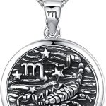 Unisex Zodiac Sign Necklace 925 Sterling Silver Constellation Pendant Necklaces,Horoscope Zodiac Jewelry Birthday Gift for Women - Scorpio Accessories for men