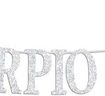 Big Scorpio Energy Banner, Scorpio Season Oct/Nov. Birthday Cake Decor - 12 Constellation Theme Birthday Party Decorations Supplies, Silver Glitter - Scorpio Canvas for men