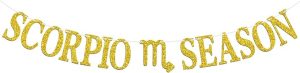 Scorpio Season Banner, Big Scorpio Energy Bunting Sign, 12 Constellation Theme Happy Birthday October/November Horoscope Birthday Party Decorations Supplies, Gold Glitter - Scorpio Canvas for men