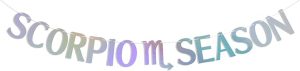 Holographic Scorpio Season Banner, Scorpio Bday Banner, Scorpio SZN, Zodiac Birthday Party Decorations- Astrology Birthday Sign - Scorpio Products for men