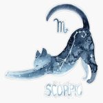 Zodiac Cat - Scorpio Sticker Bumper Sticker Vinyl Decal 5" - Scorpio Sticker for men