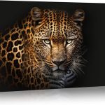 OOLAHLAH Black and Golden Leopard Wall Art Wildlife Animal Leopard Canvas Prints Picture Cheetah Poster Artwork for Bathroom Bedroom Office Living Room, Stretched and Framed 12"x16" - Leo Canvas for men