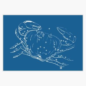 Cancer Astrology Sticker Vinyl Waterproof Sticker Decal Car Laptop Wall Window Bumper Sticker 5" - Cancer Car Accessories for men