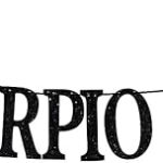 Big Scorpio Energy Banner, Scorpio Birthday Decor, 12 Zodiac Constellations Birthday Themed Party Decorations (Black Glitter) - Scorpio Products for men