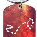 OEHEDOU 12 Constellation Keychain Gift Zodiac Astrology Gifts Birthday Gifts For Women Men Adults Boys Girls Horoscope Lovers - Scorpio Products for men