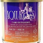 Aquarius Zodiac Candle, 100% Soy Wax Candle with Crystal, Non Toxic Candle with Phthalate-Free Fragrance, Tap Into The Strength of Aquarius Zodiac Sign, Zodiac Candle Gift for Aquarius, 10oz - Pisces Home Decor for men