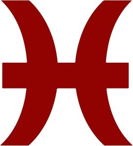 Zodiac Sign Pisces Silhouette 6" Vinyl Sticker Car Decal (6" Red) - Pisces Car Accessories for men