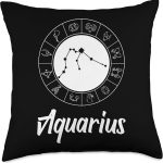 Zodiac Designs Constellation Starry Sky Aquarius Zodiac Sign Star Constellation Horoscope Throw Pillow, 18x18, Multicolor - Aquarius Pillow for men