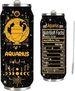 17OZ Aquarius Constellation Zodiac Stainless Steel Tumbler With Straw Lid, Coffee Mug, Car Cup - Astrology Fans Birthday Gifts - Aquarius Mug for men