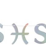 Holographic Pisces Season Banner - Pisces Birthday Party Decorations - Astrology Birthday Sign - Pisces Canvas for men