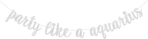 Party Like a Aquarius Banner, Big Aquarius Energy, Aquarius Season, 12 Zodiac Constellations January February Birthday Party Decorations Supplies, Silver Glitter - Aquarius Pillow for men