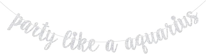 Party Like a Aquarius Banner, Big Aquarius Energy, Aquarius Season, 12 Zodiac Constellations January February Birthday Party Decorations Supplies, Silver Glitter - Aquarius Pillow for men