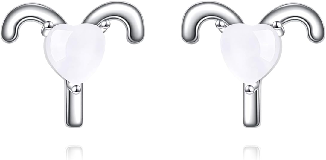 Zodiac Earrings - 925 Sterling Silver Constellation Studs - Women's Jewelry Gifts - Aries Ring for men