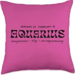 Astronomical Apparel Aquarius Zodiac Horoscope Signs Traits Astrology Throw Pillow, 18x18, Multicolor - Aquarius Pillow for men
