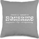 Astronomical Apparel Aquarius Zodiac Horoscope Signs Traits Astrology Throw Pillow, 16x16, Multicolor - Aquarius Pillow for men