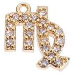 NUOBESTY - Virgo Earrings for men