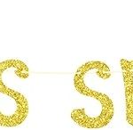 Pisces Season Banner, Big Pisces Energy/Pisces Baddie, 12 Zodiac Constellations Pisces Birthday Party Decorations Supplies (Gold Glitter) - Pisces for men