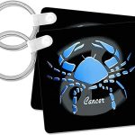 3dRose - Cancer Keychain for men