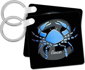 3dRose - Cancer Keychain for men