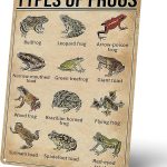 Vintage Types Of Frogs Metal Signs, Retro Educational Poster Tin Signs for Frog Enthusiasts, for Farmhouse, Bathroom, Cafe, Bar Wall Decor 8x12 Inches - Pisces Home Decor for men