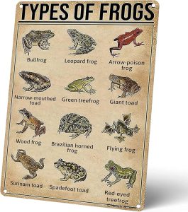 Vintage Types Of Frogs Metal Signs, Retro Educational Poster Tin Signs for Frog Enthusiasts, for Farmhouse, Bathroom, Cafe, Bar Wall Decor 8x12 Inches - Pisces Home Decor for men