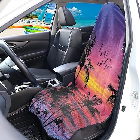 Sunset Palm Car Seat Covers Front Seat Towel, Womens Mens Vehicle Seat Protector Car Mat Covers, Car Accessories Fit Most Cars,Sedan,SUV or Van - Aquarius Car Seat Cover for men
