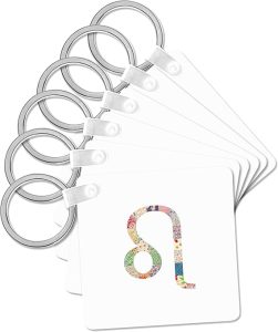 3dRose - Leo Keychain for men