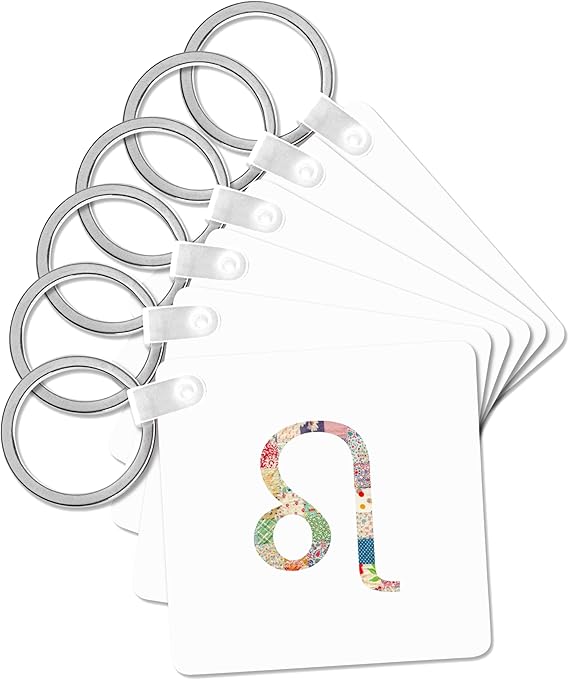 3dRose - Leo Keychain for men