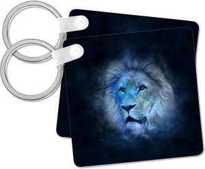 3dRose - Leo Keychain for men