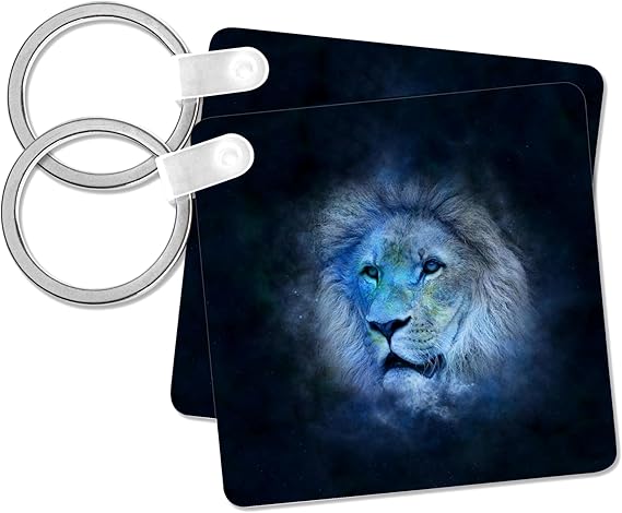 3dRose - Leo Keychain for men