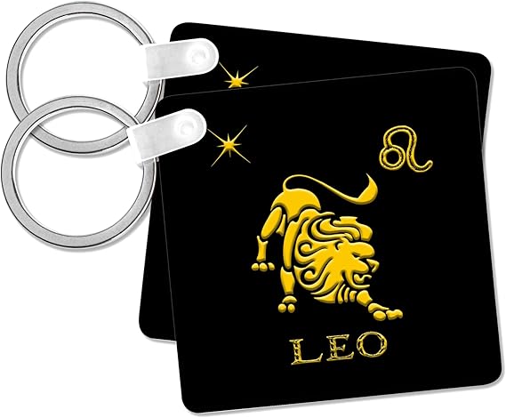 3dRose - Leo Keychain for men