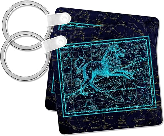 3dRose - Leo Keychain for men